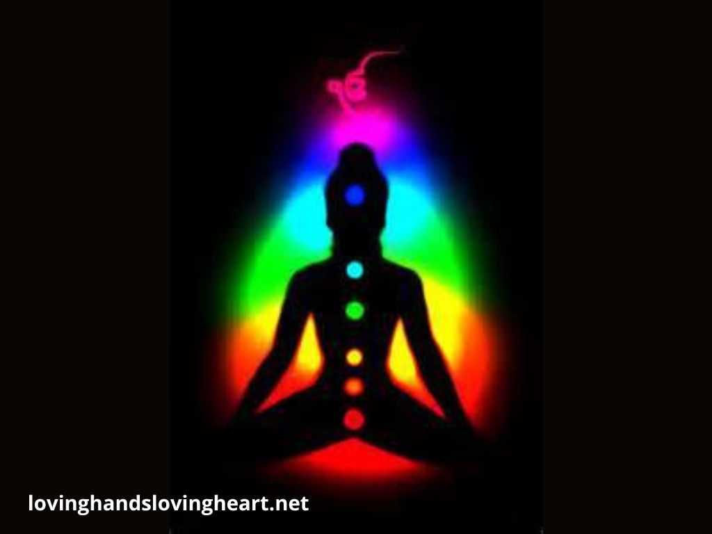 #20 Our Energetic Bodies Seek Balance and Alignment