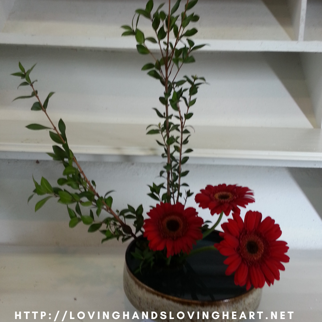 #8 Epigenetics, Space, and Ikebana