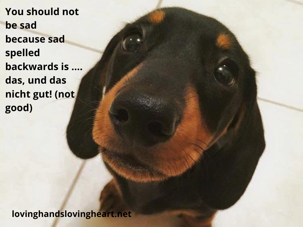 #44 Happiness is a Choice