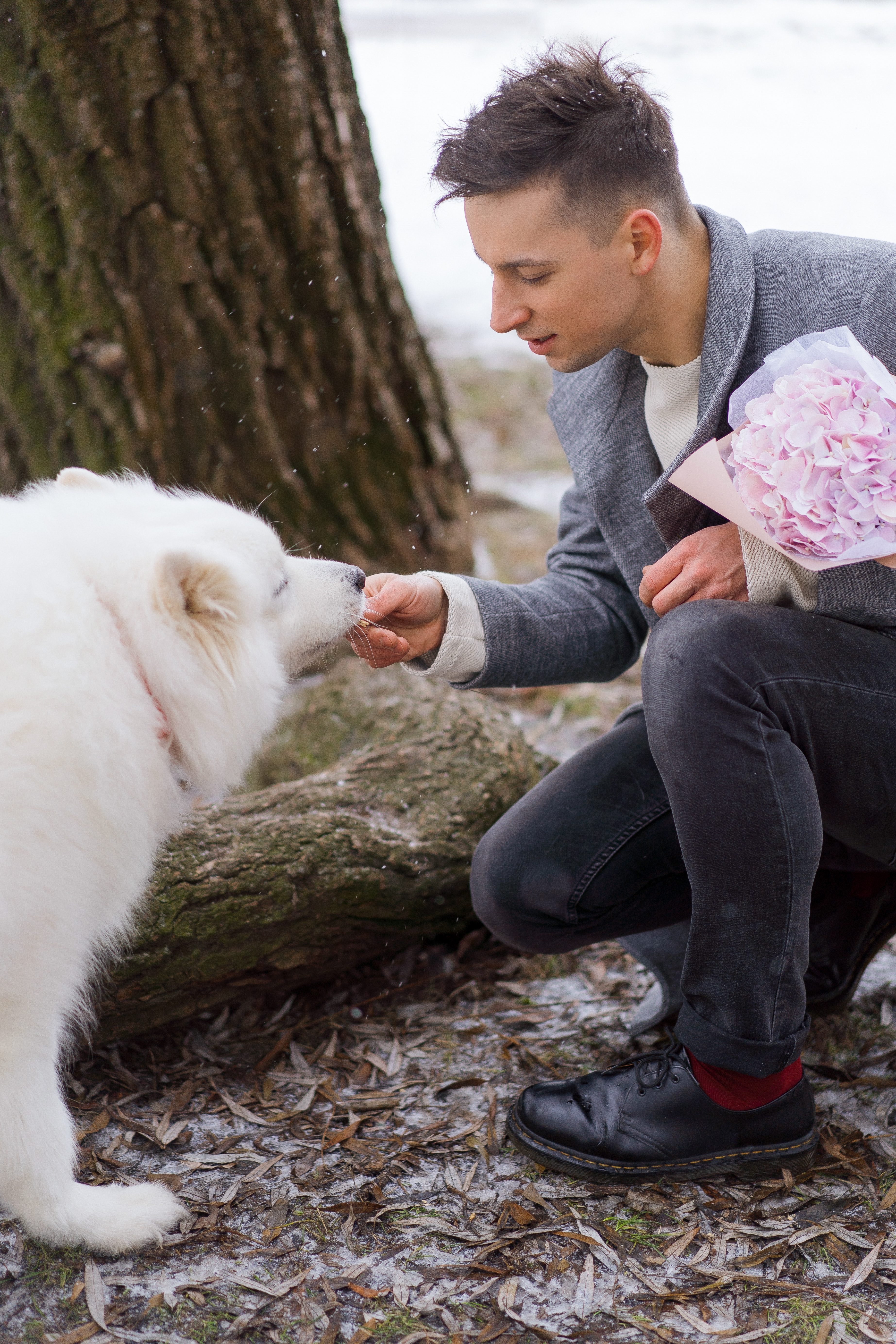 Animal Reiki Healing