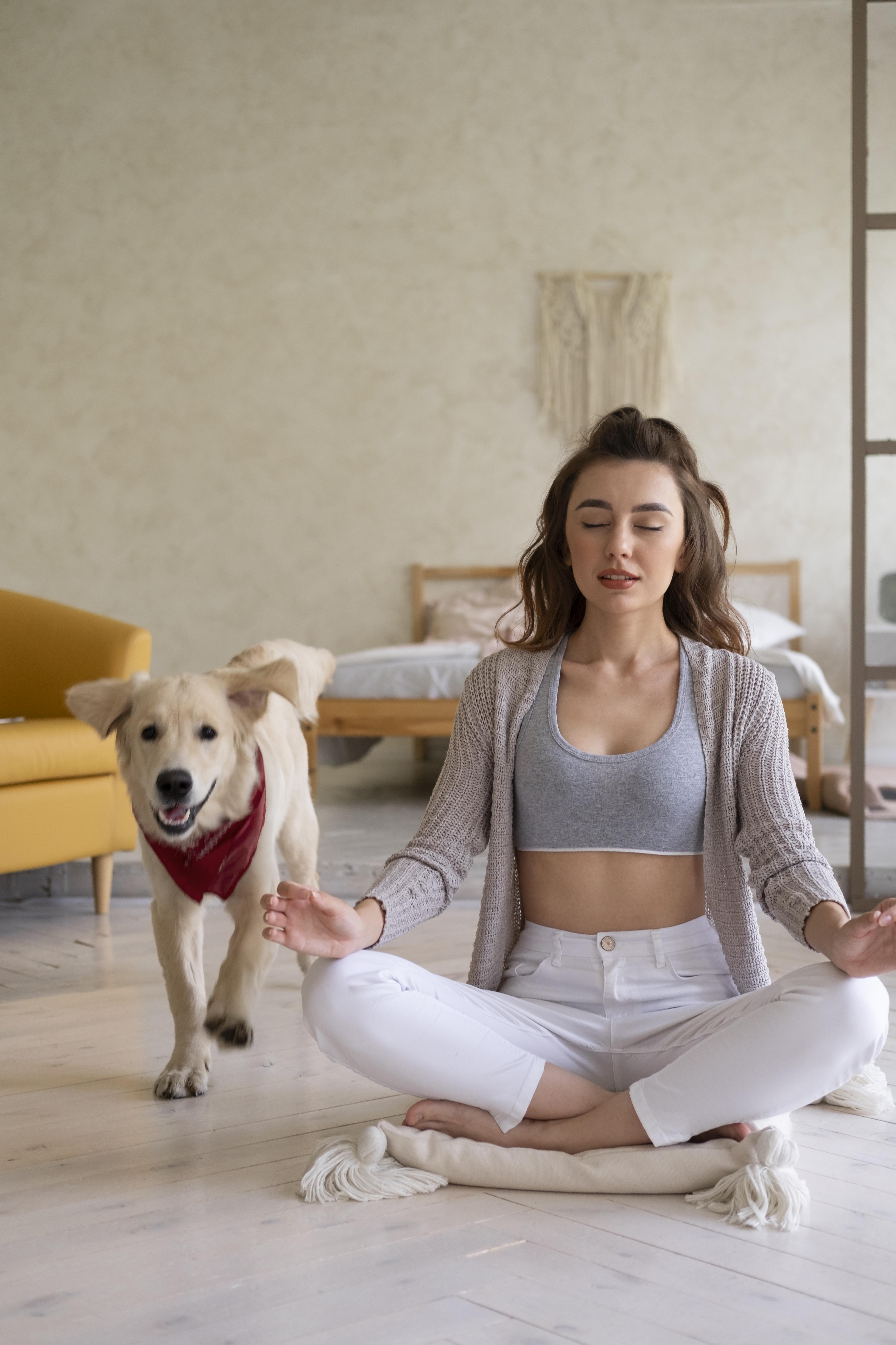 Animal Reiki