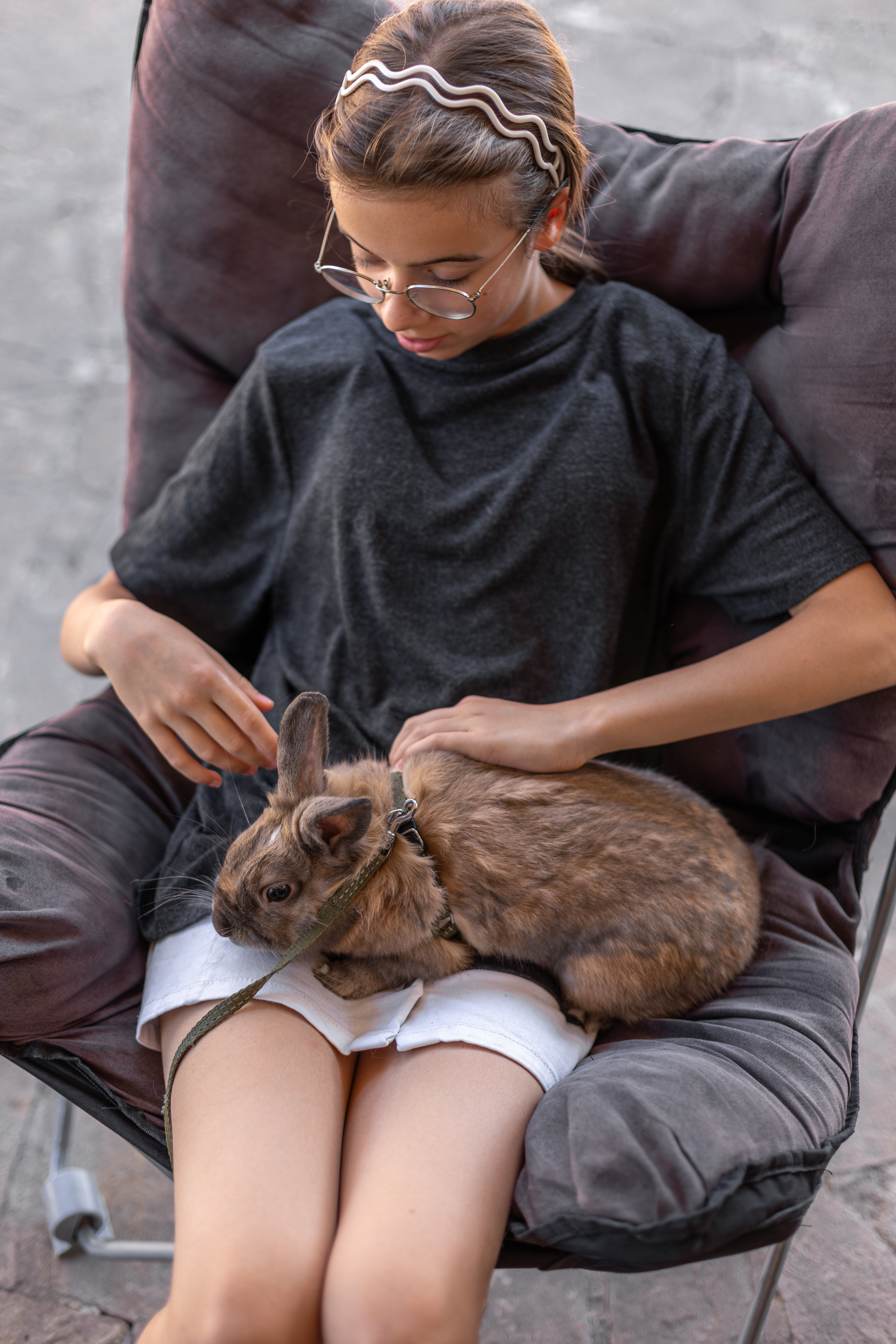 Animal Reiki