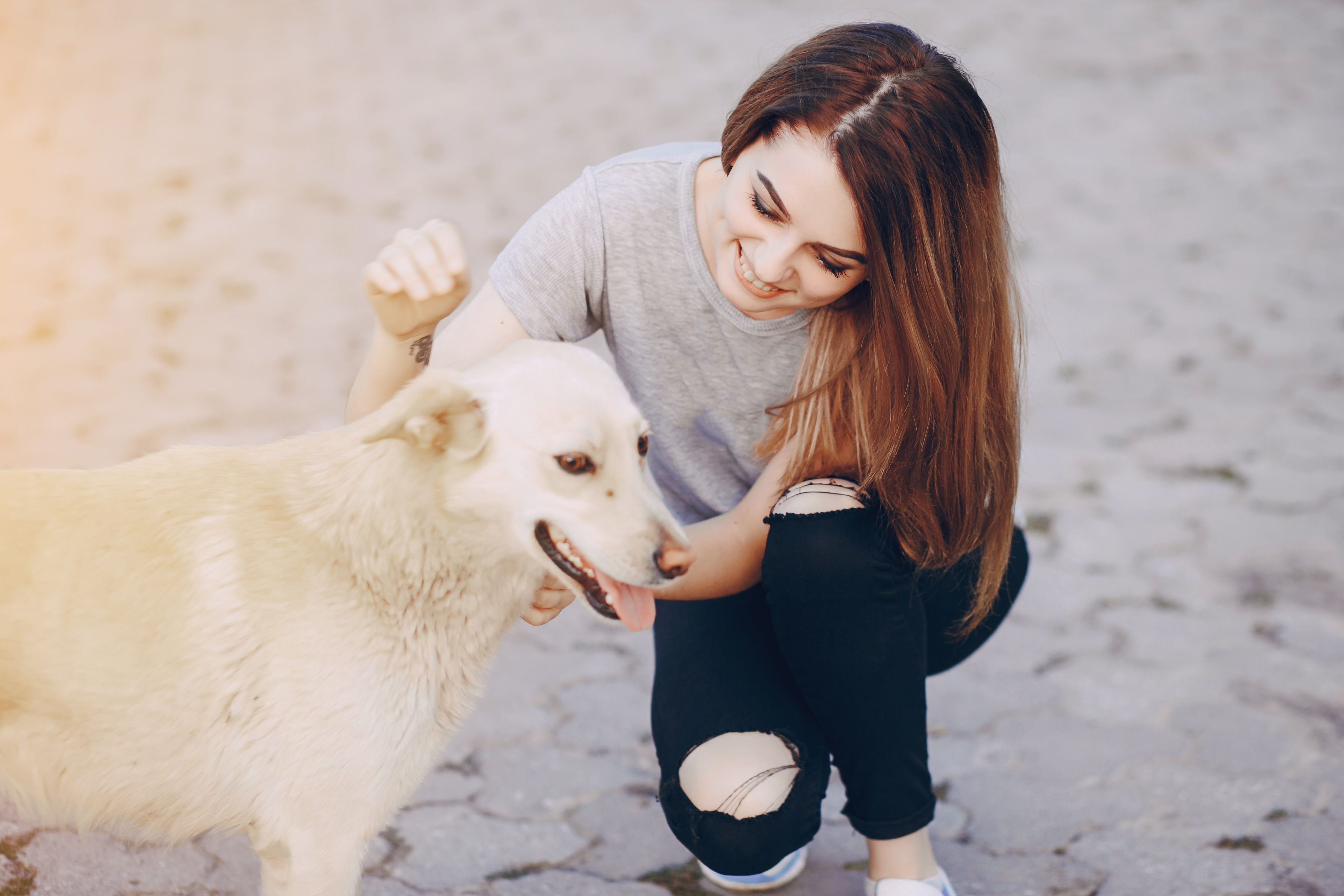 Animal Reiki Healing