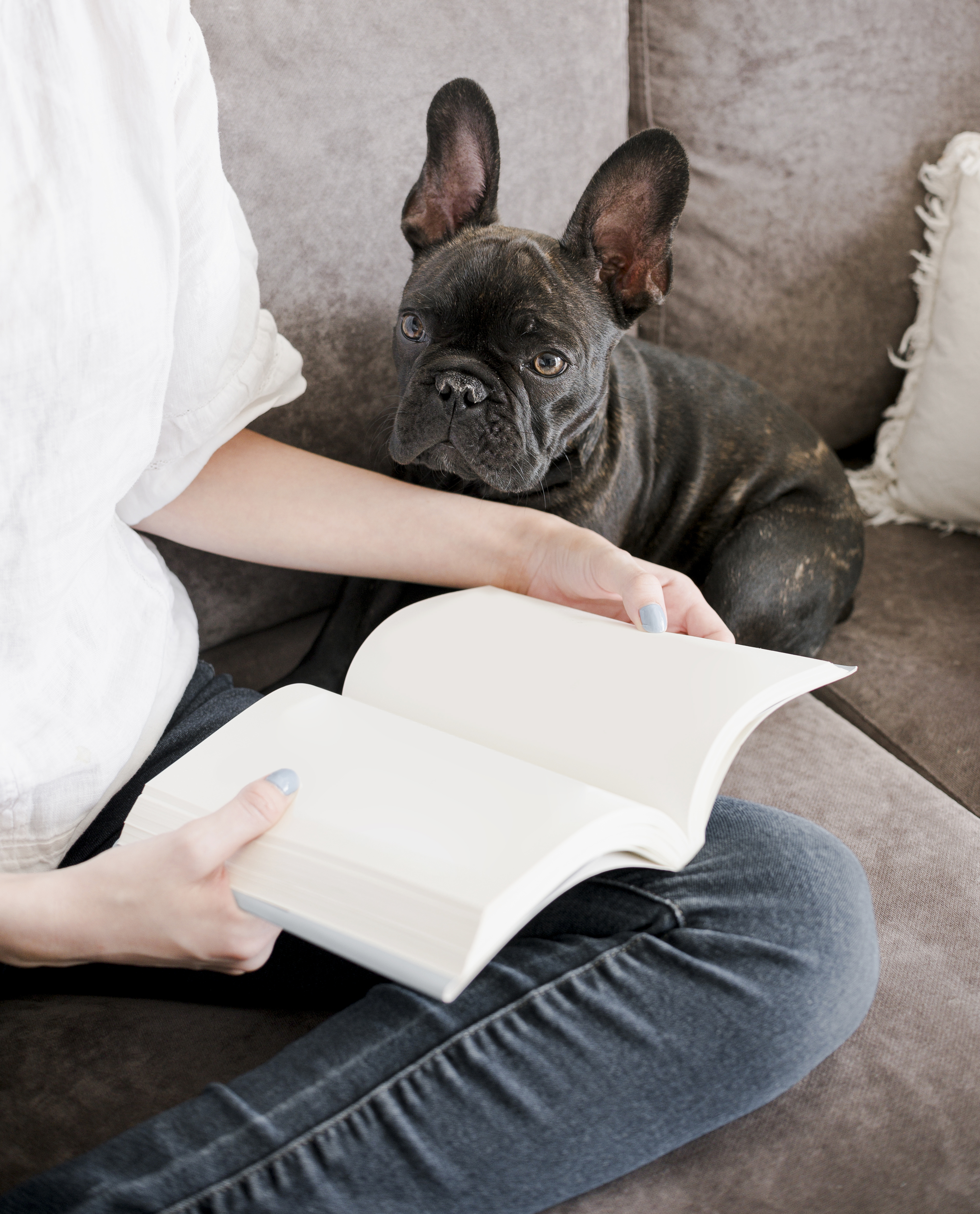 Books Author
