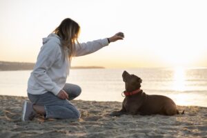 What is Animal Reiki? How Energy Healing Supports Pet Wellness